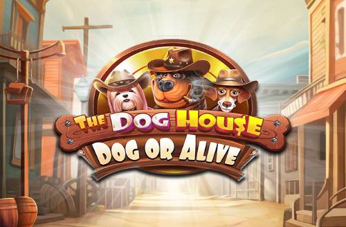 The Dog House - Dog or Alive