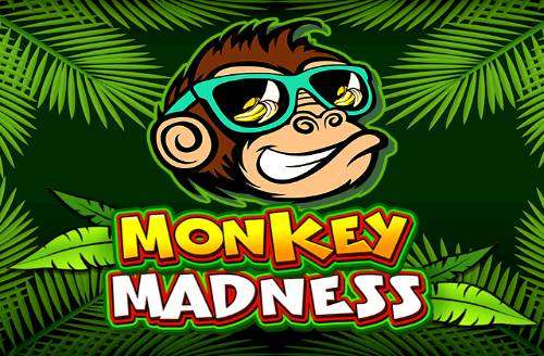 Monkey Madness